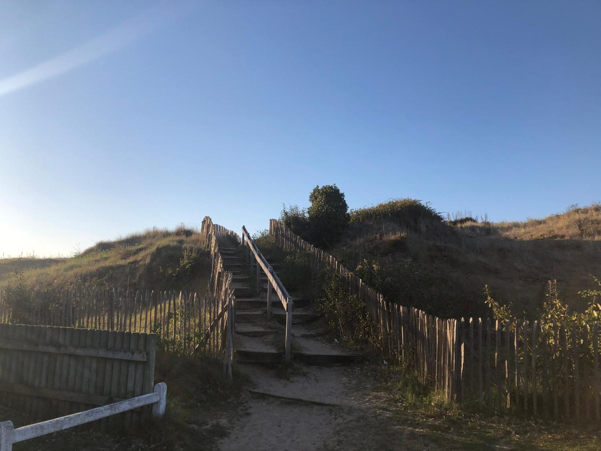 Le Petit Navire - Acces Direct Plage Cabourg Eksteriør bilde